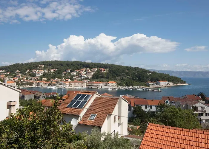 Palma Jelsa (Hvar)