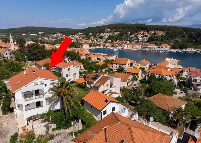 Palma Jelsa (Hvar)